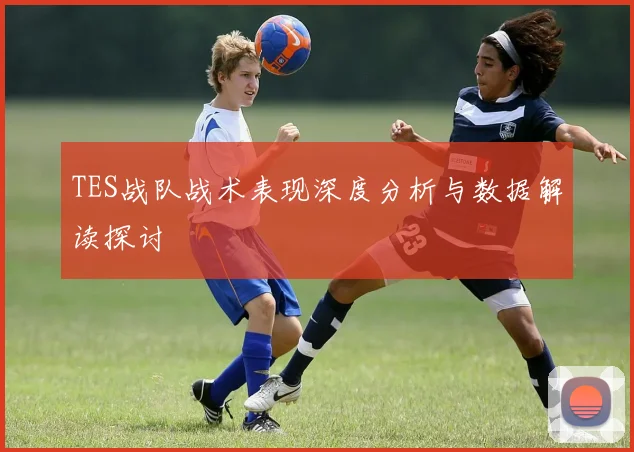 TES战队战术表现深度分析与数据解读探讨