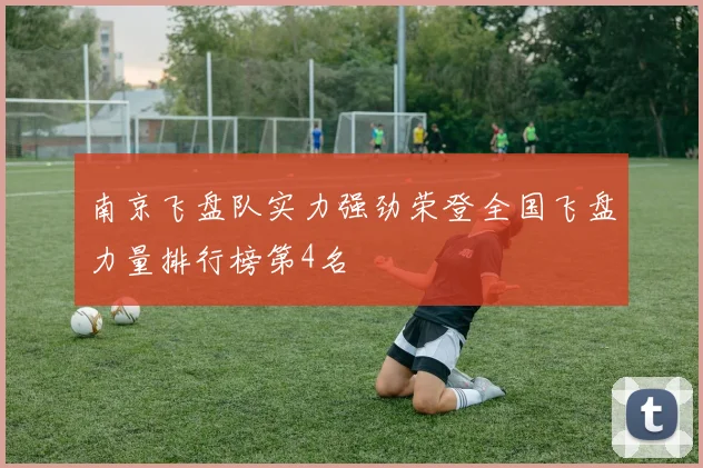 南京飞盘队实力强劲荣登全国飞盘力量排行榜第4名